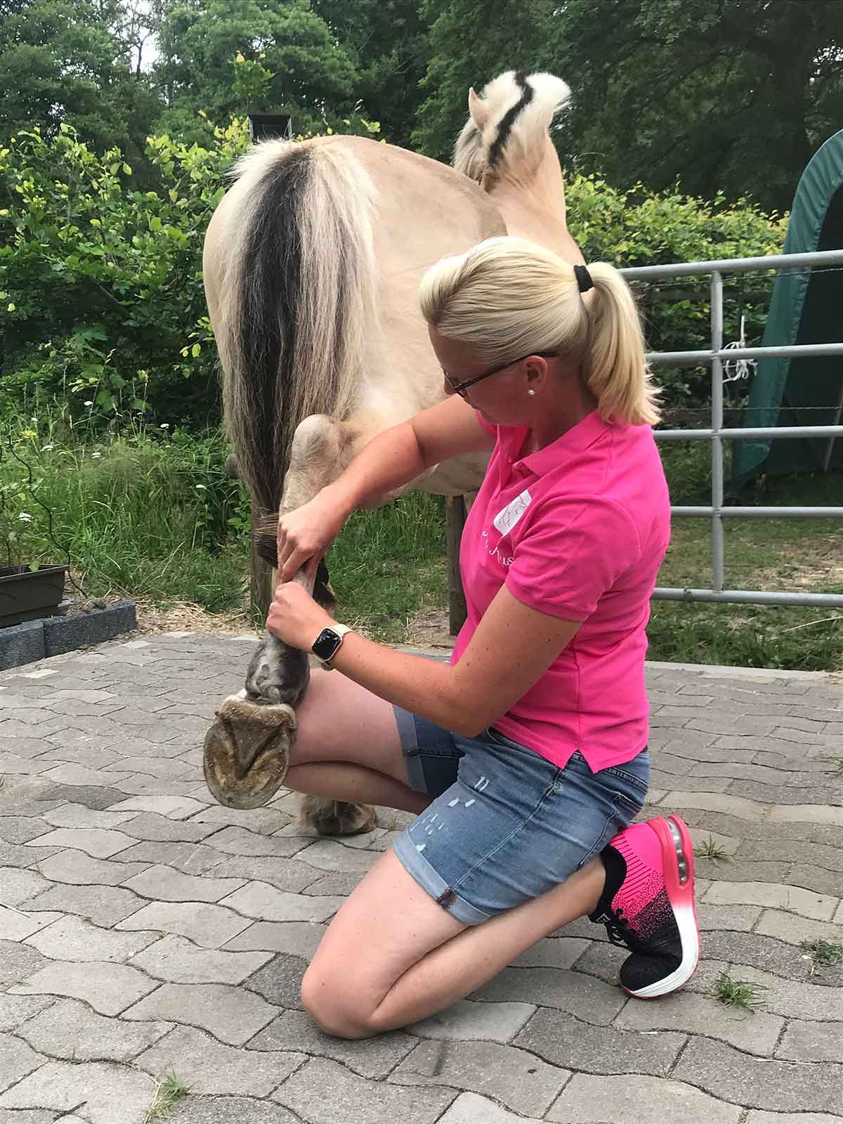 Julia behandelt ein Pferd mit Physiotherapie nach einer Sehnen OP